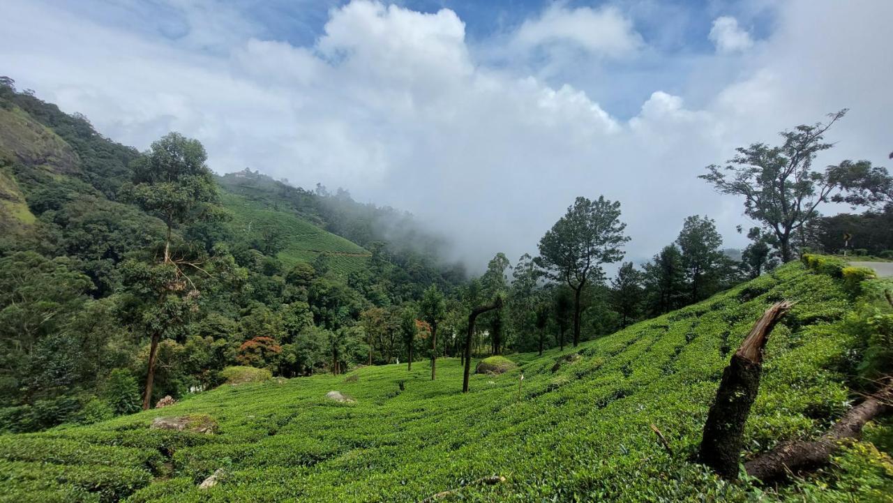 Haritha Homestay Munnar Zewnętrze zdjęcie